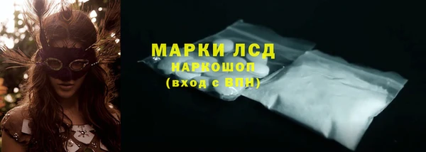 СК Абинск