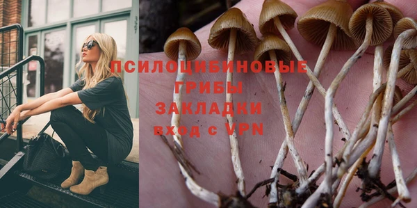 СК Абинск