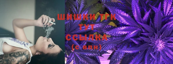 СК Абинск