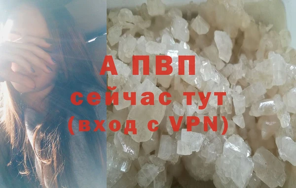 СК Абинск