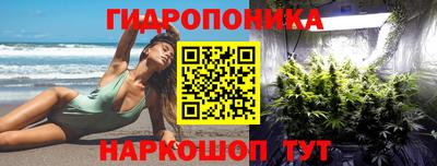 мдпв Лесосибирск