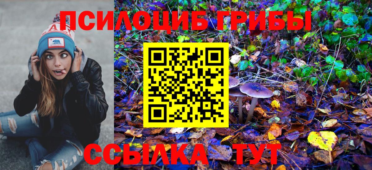 Псилоцибиновые грибы Magic Shrooms Ишимбай