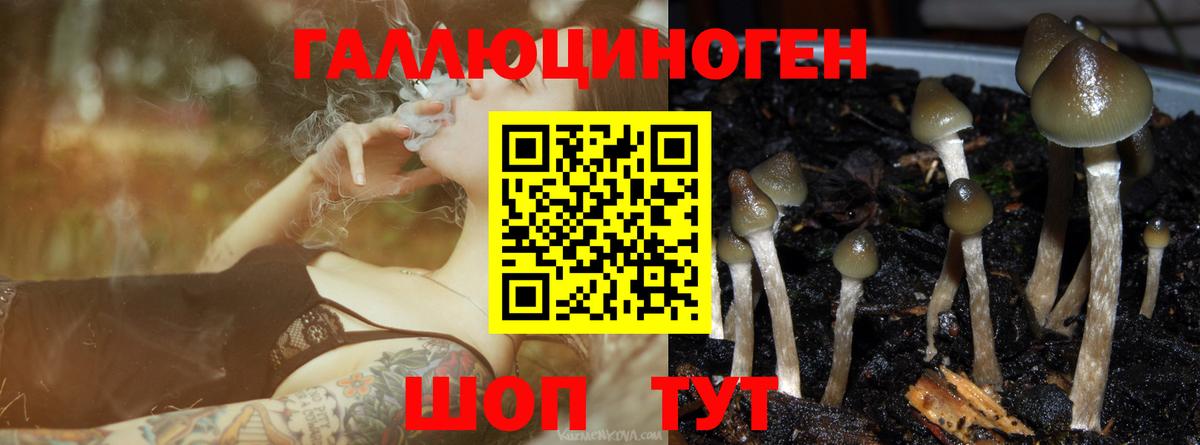 Псилоцибиновые грибы Cubensis  Вход с VPN  Ишимбай 