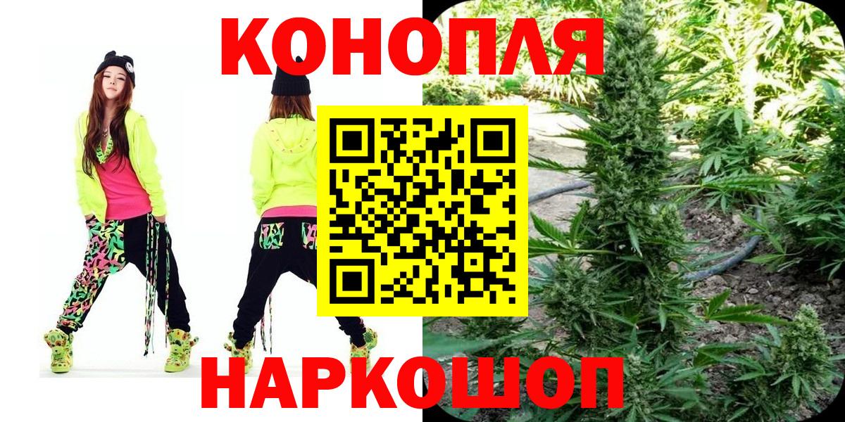 Шишки марихуана конопля  Марихуана планчик  Ишимбай  Вход с VPN 